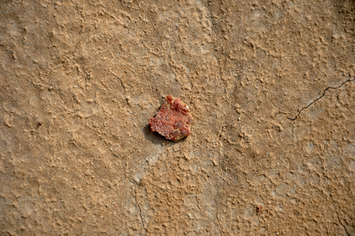one small red stone at Goblin Valley State Park